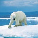 경은상회 이미지