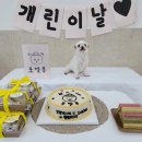 포엘몽 이미지