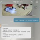 텐빌멍하우스 네이버블로그
