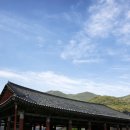 운문사 - 1733 | 운문사