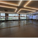 강아지와 고양이 이미지