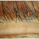 CW-2088-01 이미지