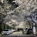 도원고등학교앞 이미지