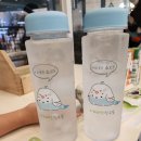 페릿 | 부산 겨울방학 아이와 가볼만한곳 :: 롯데광복점 '리프패럿' 앵무새 카페