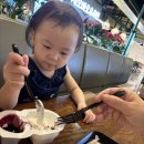 버거스타 이미지