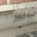 파도소리스파글램핑펜션 이미지