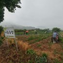 김봉수 농장 이미지