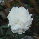 곰바우농장 이미지