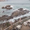 하정로 | 포항오션뷰카페 카페파도 구룡포대형카페 오션뷰와 프리미엄커피 동해바다카페 힐링카페 솔직후기