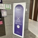 살롱드르소나 | 봉담 미용실 살롱 드 르소나 두피관리 생생후기