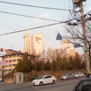 덕진-43 이미지