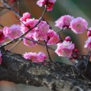 바람내음 이미지