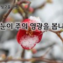 2월 12일(수) 내 눈이 주의 영광을 봅니다. 이미지