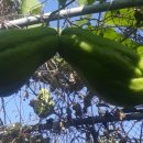 들녘농장 이미지