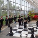 알로에테마파크 이미지