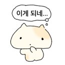 중앙오토 이미지