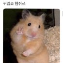 호야 스시 이미지