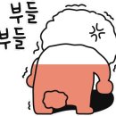 보얀트캠핑 이미지