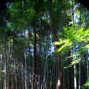 고창읍성 이미지