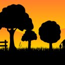 옥산초소로분교 이미지