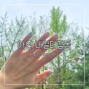 네일더감동 이미지