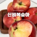 승주유통 - 하남시 | 신비복숭아 껍질 그대로 먹어도 맛있는 승주농장 택배 솔직후기