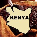 카페더케냐 이미지