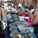 자갈치시장 이미지