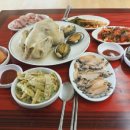 달리도 민박 이미지