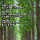 오숲
