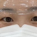 오른브로우