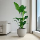 승진세탁소 이미지