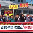 철수농장 이미지