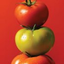 애슐리퀸즈(롯데피트인산본점) 이미지