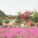 이화펜션 이미지