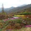 산들농원 이미지