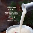 🤗 막걸리의~효능과~초코우유가~숙취해소에~?? 이미지