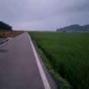 신망목장 네이버블로그
