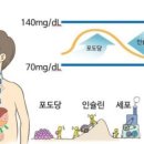 서해사랑 이미지