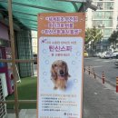 폴짝그루밍 이미지