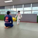 H유도&주짓수멀티짐 이미지