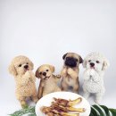 (주)네츄라필 이미지