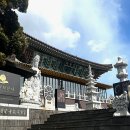 안덕면 명상 이미지