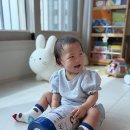 신생아분유, 설사분유로 유명한 루비락 골든그램 3단계 후기 • 킨더밀쉬 • 신생아분유추천
