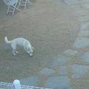 호텔델루멍 이미지