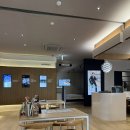 대덕대로-22 | 신혼부부 매트리스 추천 베스트슬립 대전둔산 쇼룸 브랜드리스 모피어스22 내돈내산 후기!