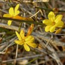 대전중앙중학교 이미지