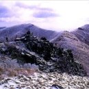 연석산농장 이미지