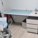 (주)일룸 - 8247 | 책상매트 추천｜3년 사용 후 재구매한 책상커버 일룸 가죽 매트 후기