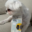 Wiz-Pet 동물병원 | 집에서하는 반려동물건강검진 Cym702 Pet 강아지 소변검사키트 추천